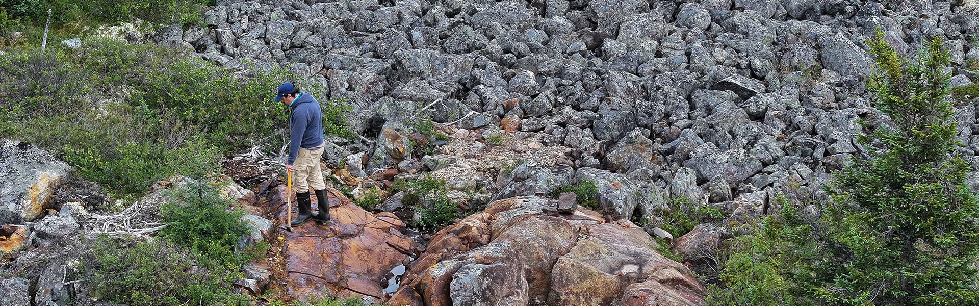 Projects Gayot Header 2