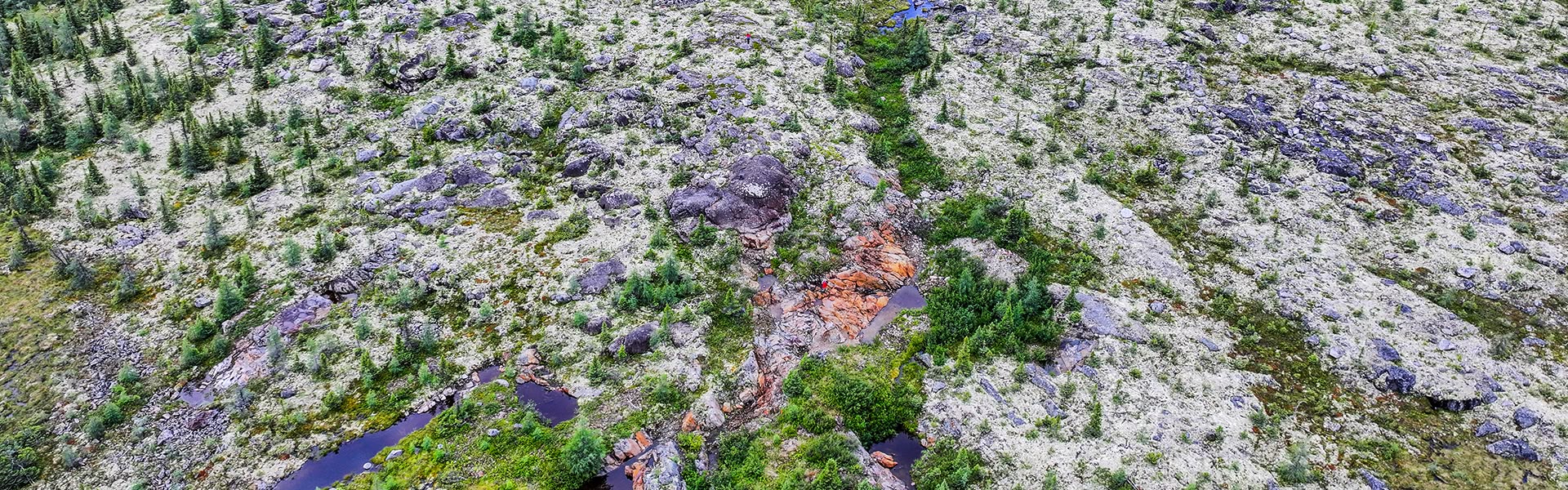 Banner Projects Overview